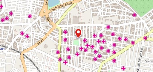 Domino's Pizza Danavaipeta, Rajahmundry on map