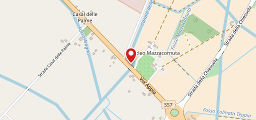 Le magnolie sulla mappa