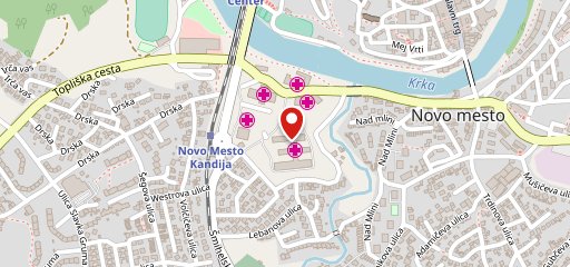 Splošna bolnišnica Novo mesto sulla mappa