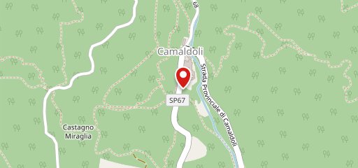 Ristorante Camaldoli di Tassini sulla mappa